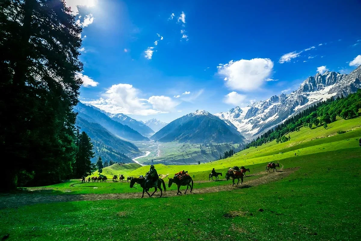 Manali Escape