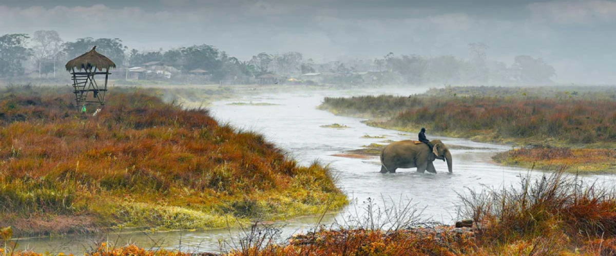 Chitwan National Park