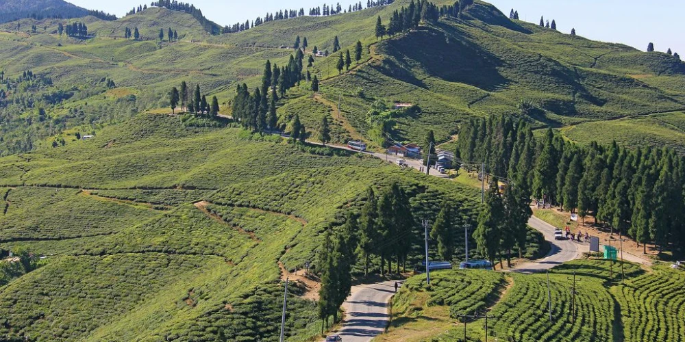 Kanyam