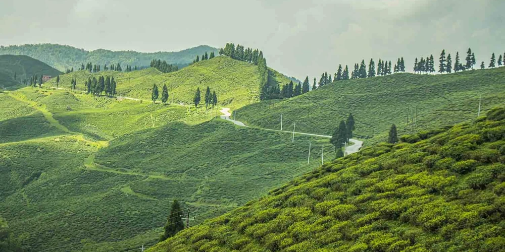 Ilam