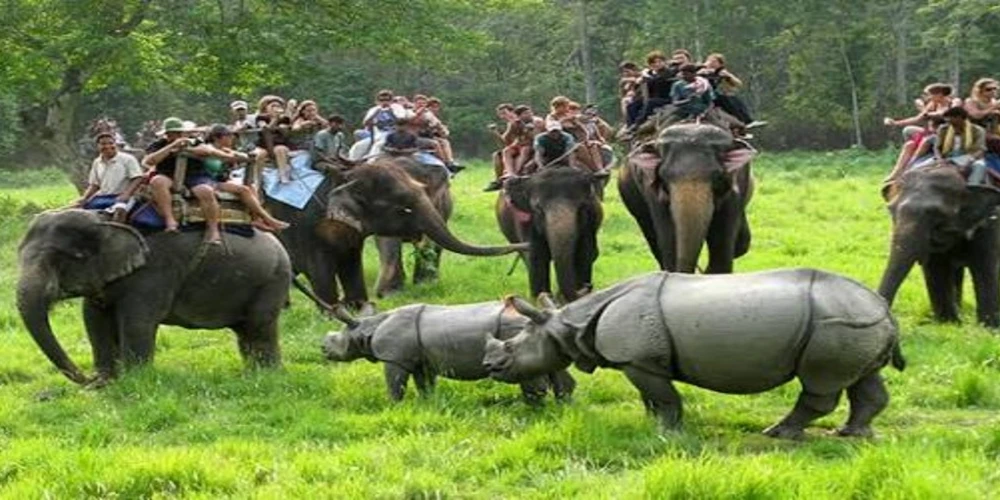 Chitwan