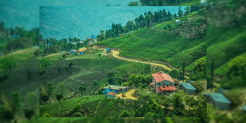 Pashupatinagar