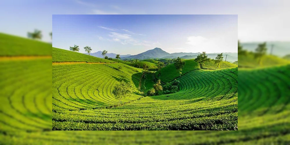 Ilam