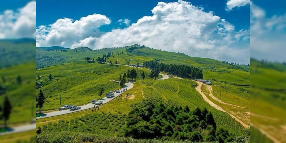 Kanyam